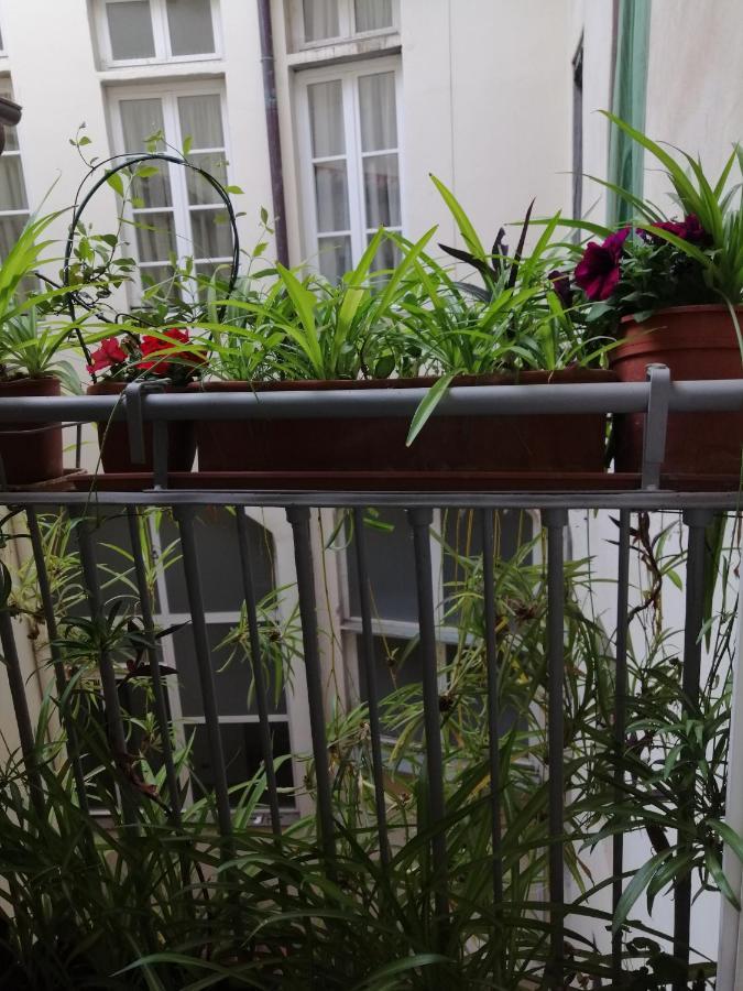 Florence Pitti Loft Exteriör bild